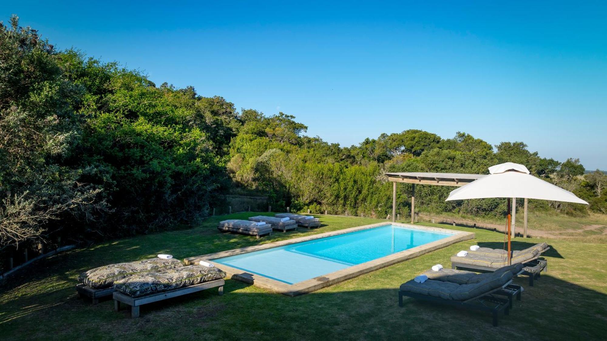 Belle Balance Bush Lodge Plettenberg Bay Kültér fotó