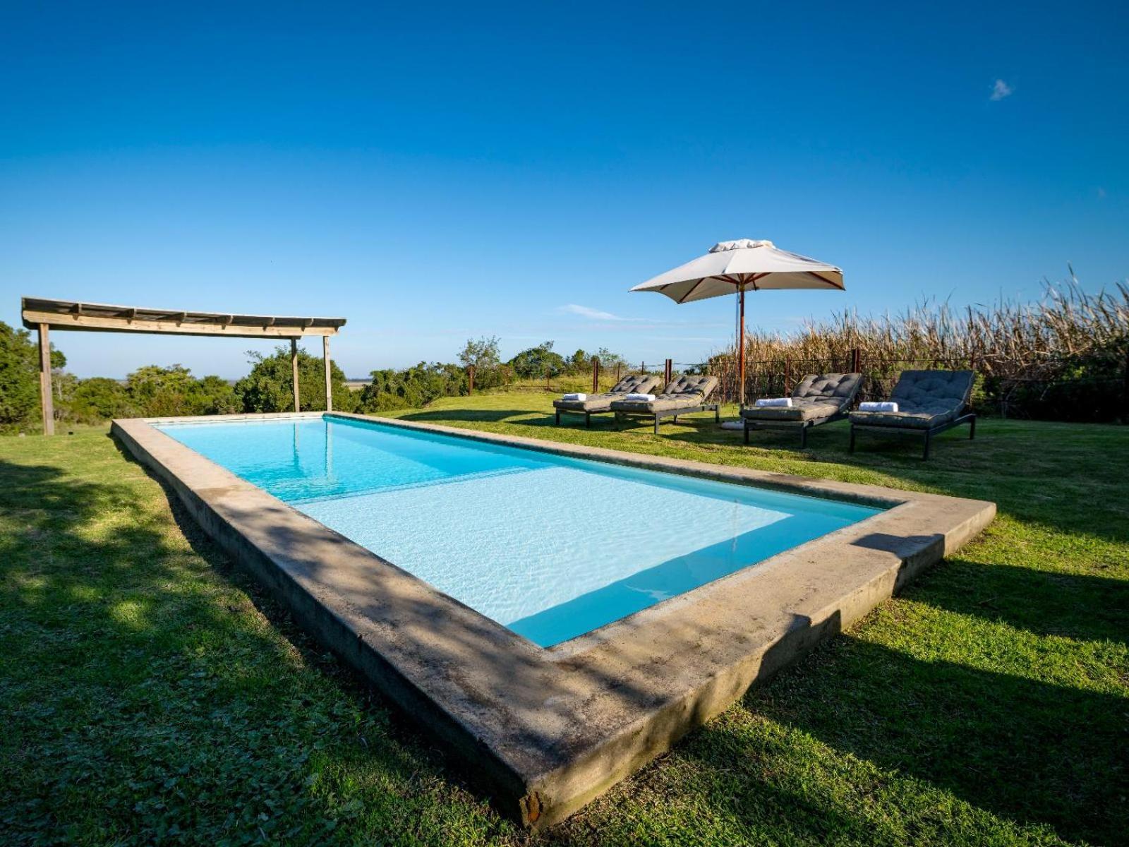 Belle Balance Bush Lodge Plettenberg Bay Kültér fotó